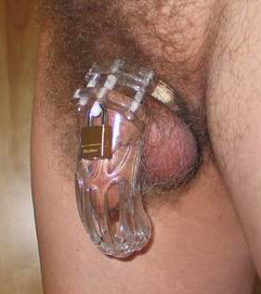 Curve Male Chastity Device