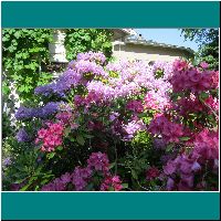 VF27-VF40-FloweringBushes-2013-09-13.jpg